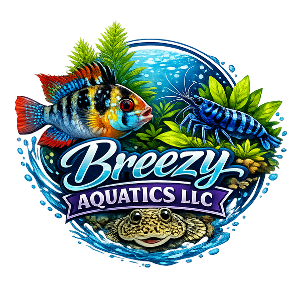 Breezy Aquatics